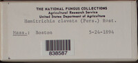 Image Associated With the Occurence